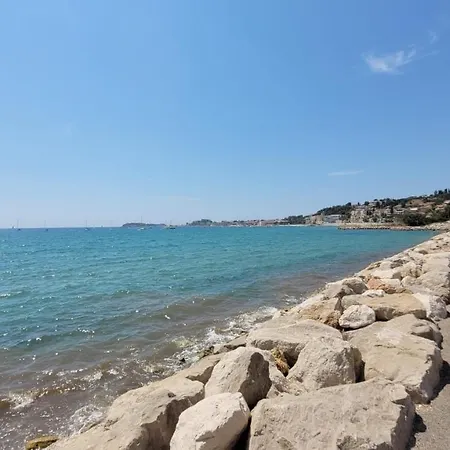 Studio A 10 M Des Plages Et A 5 Min Du Centre Ville De Bandol *